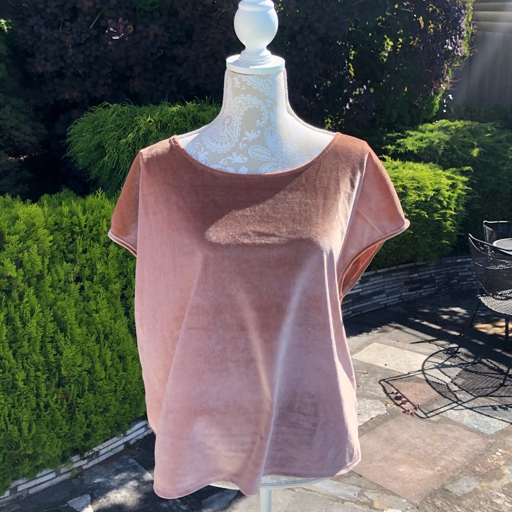 Frenchi Velour Dolman Sleeve Tee